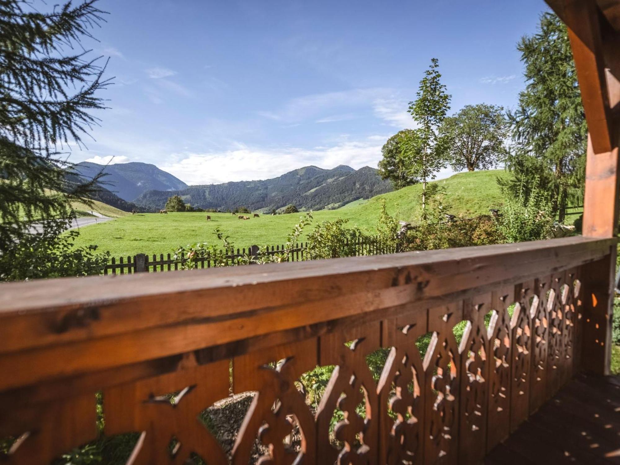 Naturpark Chalet Schladming-Dachstein Grosssolk Buitenkant foto
