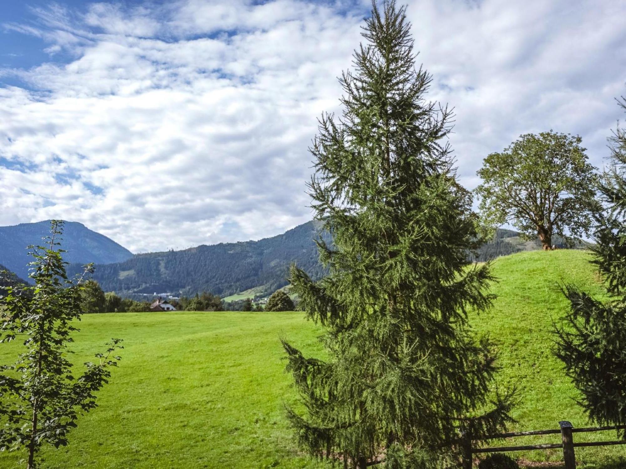 Naturpark Chalet Schladming-Dachstein Grosssolk Buitenkant foto